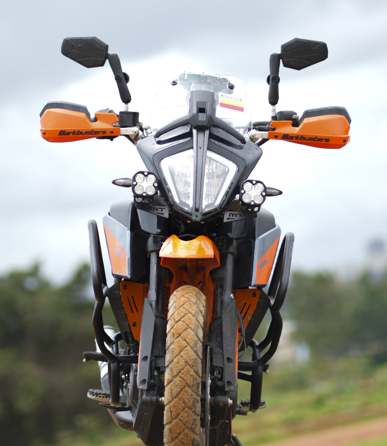 KTM 250/390 ADVENTURE - Crash Guard