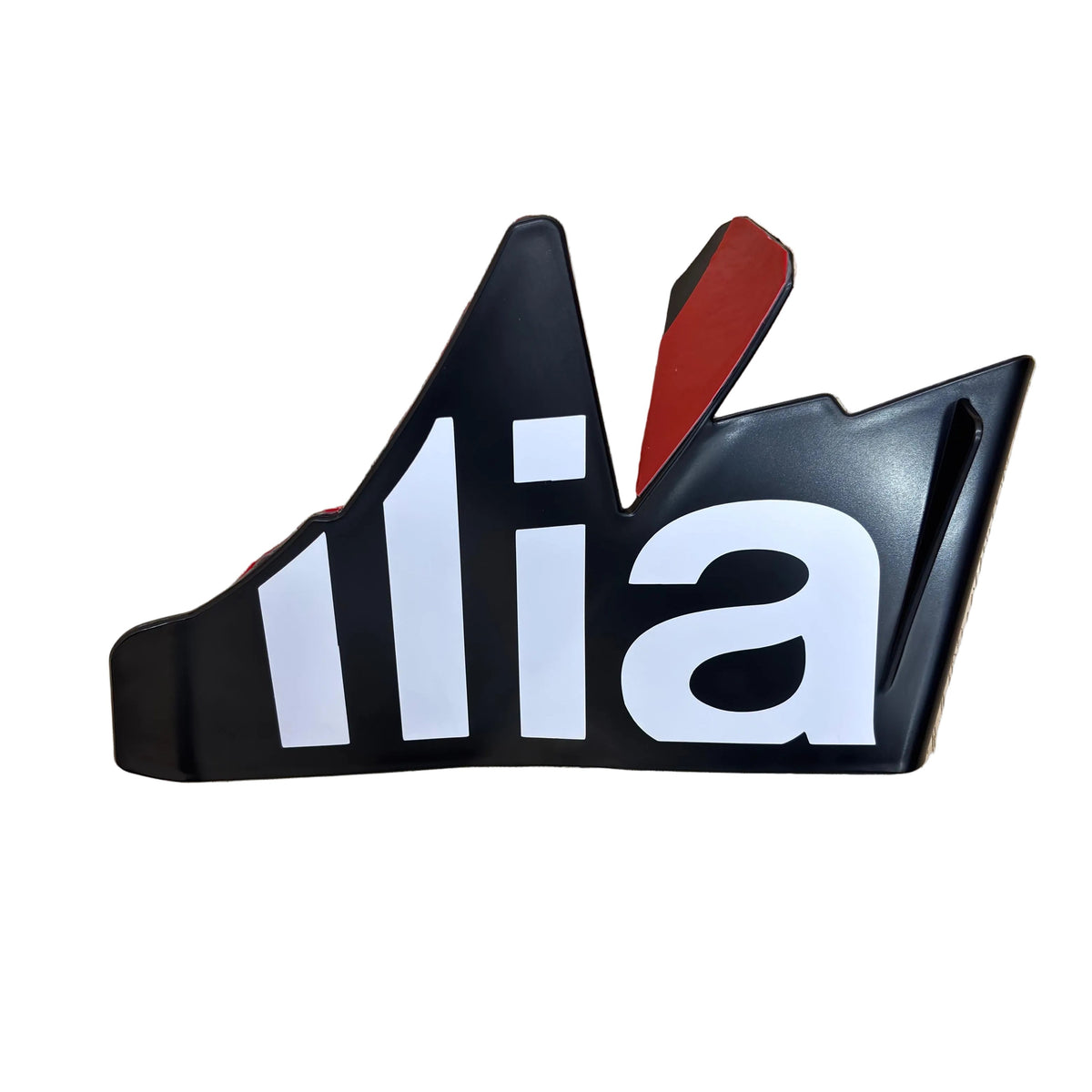 Aprilia RS 457 Winglets