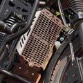 RADIATOR GUARD FOR YEZDI ADVENTURE (SS)